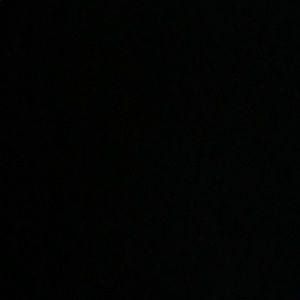 Meet your Posher, Jake